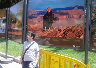 Copia de 20170602_125039